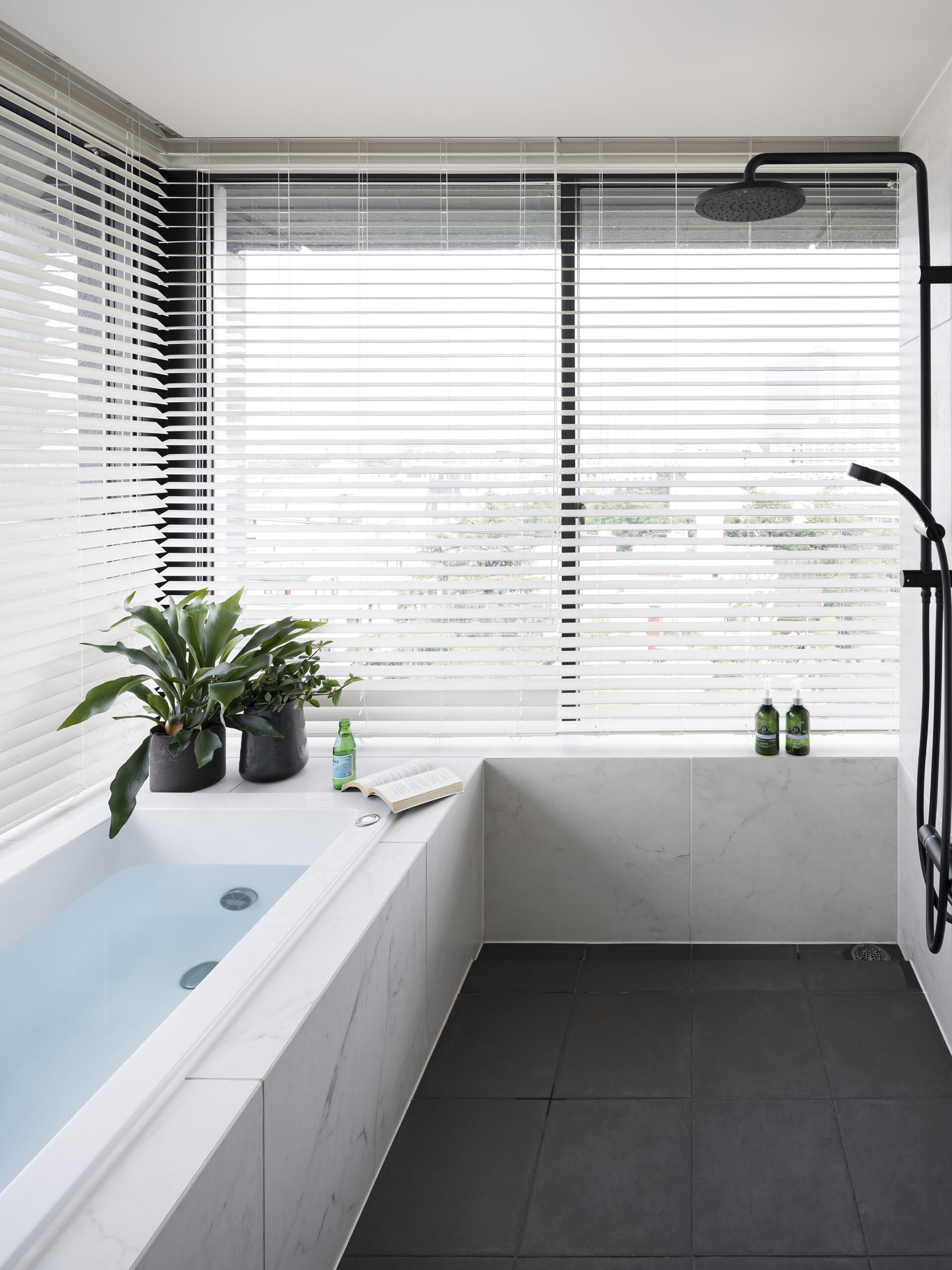 Sky Window House