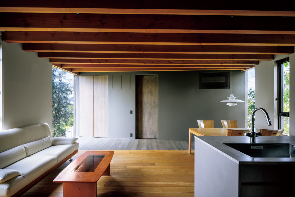 SUIDEN House