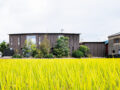 SUIDEN House